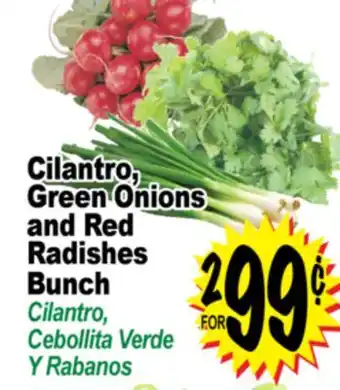 Superior Grocers Cilantro, Green Onions and Red Radishes Bunch offer