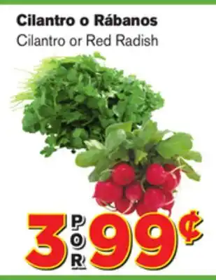 El Super Fresh Cilantro or Red Radish offer