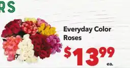 Vallarta Supermarkets Everyday Color Roses offer