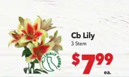 Vallarta Supermarkets Cb Lily offer