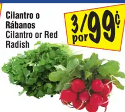 El Super Cilantro or Red Radish offer