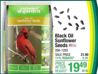 Menards Enchanted Garden Black Oil Sunflower Seed Wild Bird Food - 50 lb offer