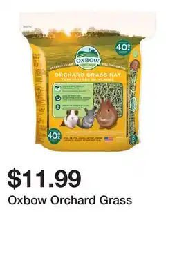 Petsmart Oxbow Orchard Grass offer