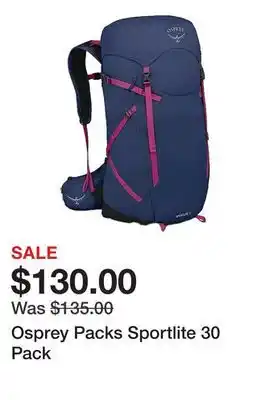 Dick's Sporting Goods Osprey Packs Sportlite 30 Pack offer