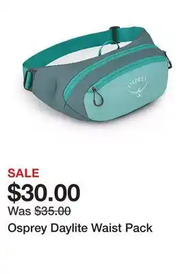 Dick's Sporting Goods Osprey Daylite Waist Pack offer