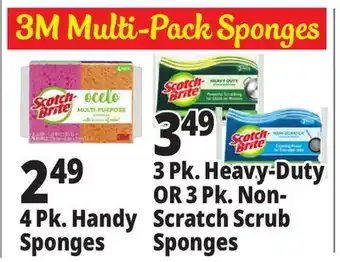 Ocean State Job Lot Sponges offer