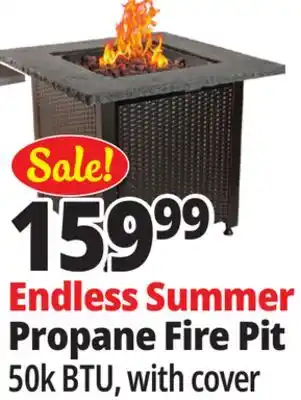 Ocean State Job Lot Endless Summer Propane Fire Pit offer