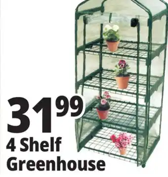 Ocean State Job Lot 4 Shelf Greenhouse offer