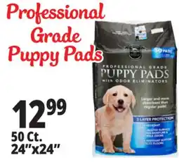 Ocean State Job Lot 24x24 Puppy Pads with Odor Eliminators 50 Count offer