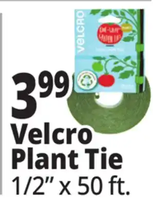 Ocean State Job Lot Velcro Plant Tie offer