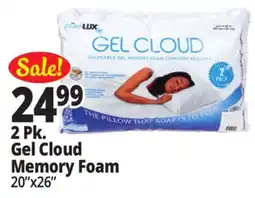 Ocean State Job Lot pureLUX Shapeable Gel Memory Foam Comfort Pillows 2-Count offer