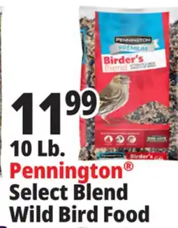 Ocean State Job Lot 10 Lb. Pennington Select Blend Wild Bird Food offer