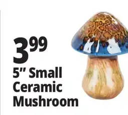 Ocean State Job Lot 5 Small Ceramic Mushroom offer