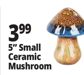 Ocean State Job Lot 5 Small Ceramic Mushroom offer