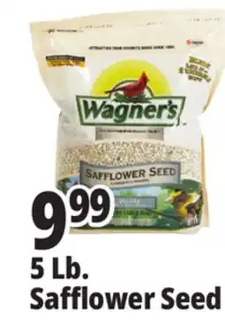 Ocean State Job Lot Wagner's Safflower Seed Deluxe Wild Bird Food offer