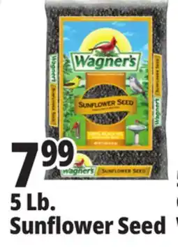 Ocean State Job Lot Wagner's Black Oil Sunflower Seed Wild Bird Food 5 lbs offer