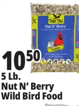 Ocean State Job Lot Better Bird Premium Nut N' Berry Bird Food 5 lbs offer