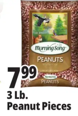 Ocean State Job Lot Morning Song Wildlife Food Peanuts 3 lbs offer