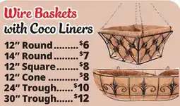 Ocean State Job Lot Wire Basket Planter with Coco Liner offer