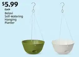 Aldi Belavi Self-Watering Hanging Planter offer