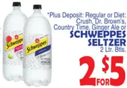 Bravo Supermarkets SCHWEPPES SELTZER offer