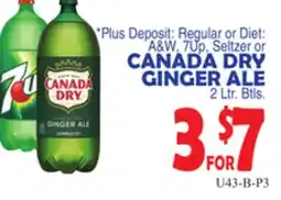 Bravo Supermarkets CANADA DRY GINGER ALE offer