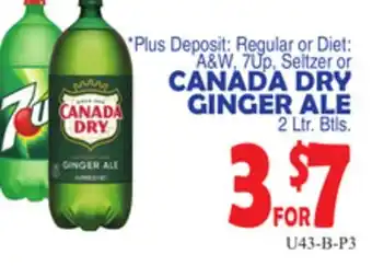 Bravo Supermarkets CANADA DRY GINGER ALE offer