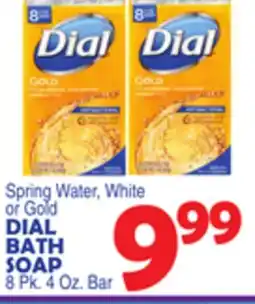 Bravo Supermarkets DIAL BATH SOAP offer