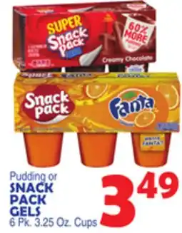 Bravo Supermarkets SNACK PACK GELS offer