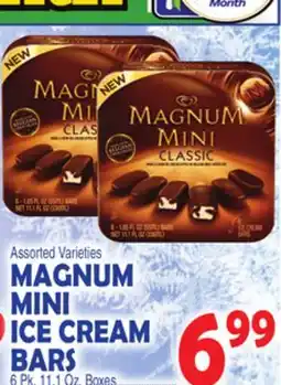 Bravo Supermarkets MAGNUM MINI ICE CREAM BARS offer