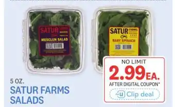 Kings Food Markets SATUR FARMS SALADS offer