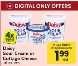 ACME Daisy Sour Cream or Cottage Cheese offer