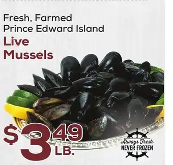 DeCicco & Sons Live Mussels offer