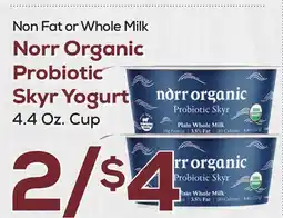 DeCicco & Sons Norr Organic Probiotic Skyr Yogurt offer