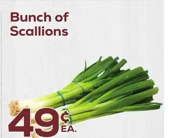 DeCicco & Sons Bunch of Scallions offer