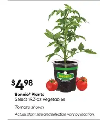 Lowe's Plants Select 19.3-oz Vegetables offer