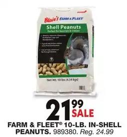 Blain's Farm & Fleet FARM & FLEET 10-LB. IN-SHELL PEANUTS offer