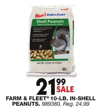 Blain's Farm & Fleet FARM & FLEET 10-LB. IN-SHELL PEANUTS offer