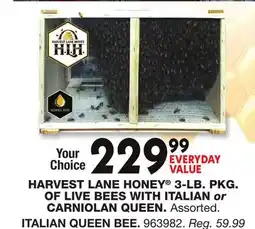 Blain's Farm & Fleet HARVEST LANE HONEY 3-LB. PKG. OF LIVE BEES WITH ITALIAN or CARNIOLAN QUEEN offer