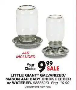 Blain's Farm & Fleet LITTLE GIANT GALVANIZED/ MASON JAR BABY CHICK FEEDER or WATERER offer