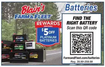 Blain's Farm & Fleet PLATINUM BATTERIES offer