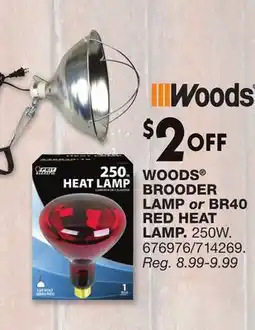 Blain's Farm & Fleet WOODS BROODER LAMP or BR40 RED HEAT LAMP offer