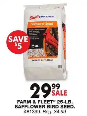 Blain's Farm & Fleet FARM & FLEET 25-LB. SAFFLOWER BIRD SEED offer