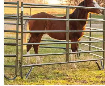 Blain's Farm & Fleet BEHLEN COUNTRY 60 X 12' GREEN SQUARE EDGE CORRAL PANEL offer