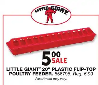 Blain's Farm & Fleet LITTLE GIANT 20 PLASTIC FLIP-TOP POULTRY FEEDER offer