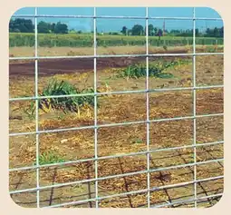 Blain's Farm & Fleet BEHLEN COUNTRY 34 x16' HOG FENCE PANEL offer