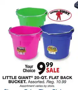 Blain's Farm & Fleet LITTLE GIANT 20-QT. FLAT BACK BUCKET offer