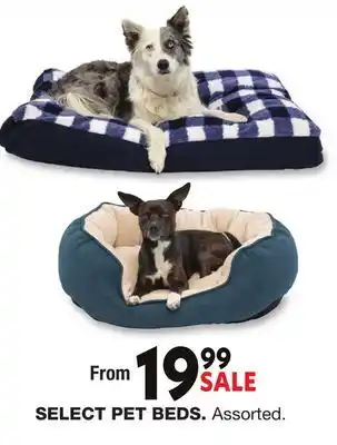 Blain's Farm & Fleet SELECT PET BEDS offer