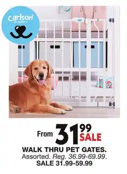 Blain's Farm & Fleet WALK THRU PET GATES offer