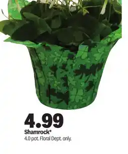 Meijer Shamrock offer